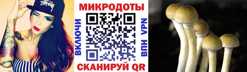 Галлюциногенные грибы мицелий  ОМГ ОМГ как зайти  сайты даркнета формула  Канск 